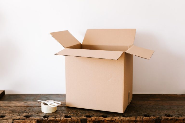 the organised zone virtual assistant
